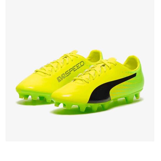 10401301-Puma Evo SPEED 17.2 FG Football Shoes-1