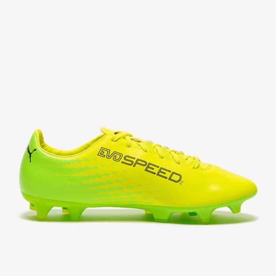 10401301-Puma Evo SPEED 17.2 FG Football Shoes-4