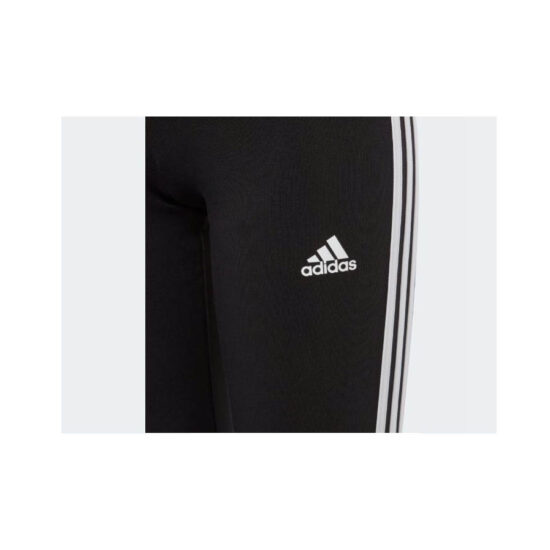 Screenshot 2025-06-21 002441