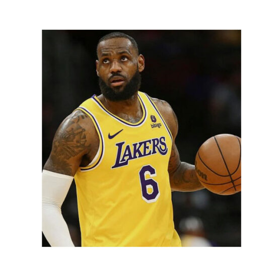 DN2009 728-Nike LA Lakers Lebron James NBA Icon Edition Swingman Jersey