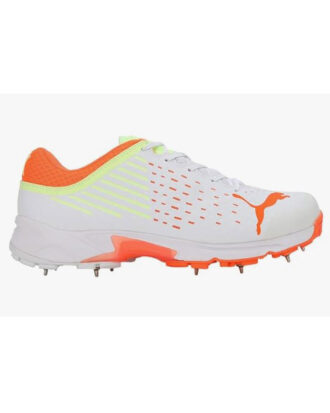 10666806-Puma Men Cricket Spike 22.1 Shoes