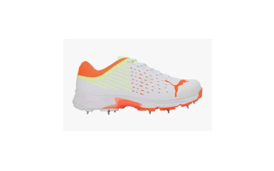 10666806-Puma Men Cricket Spike 22.1 Shoes