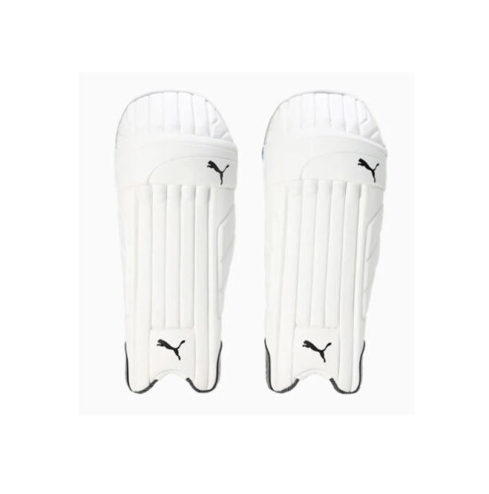 03065921-Puma Evo 3 Batting Pad