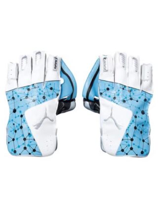 Puma Future Cricket Wicket Keeping Gloves