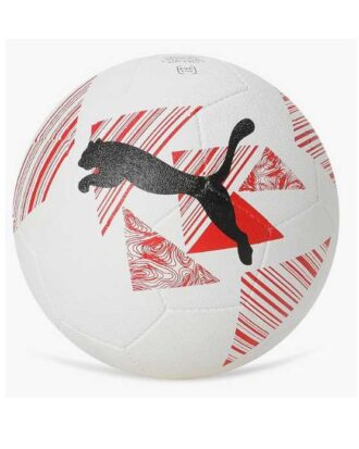 05476006-Puma Future 2 Soccer Ball