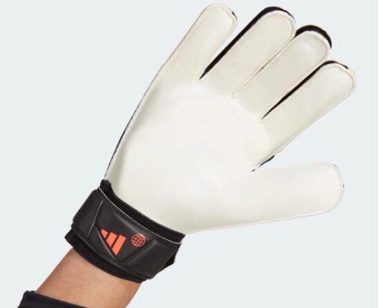 Screenshot 2025-11-21 011510