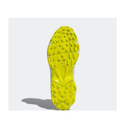 Screenshot 2026-01-06 221249