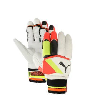 04171301-Puma Future 20.5 Cricket Batting Gloves