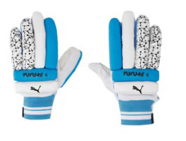 04171407-Puma Future 20.6 Cricket Batting Gloves