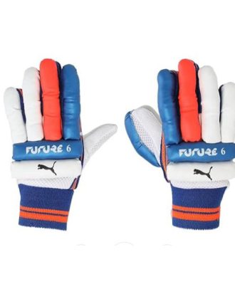 04189501-Puma Future 6 Cricket Batting Gloves