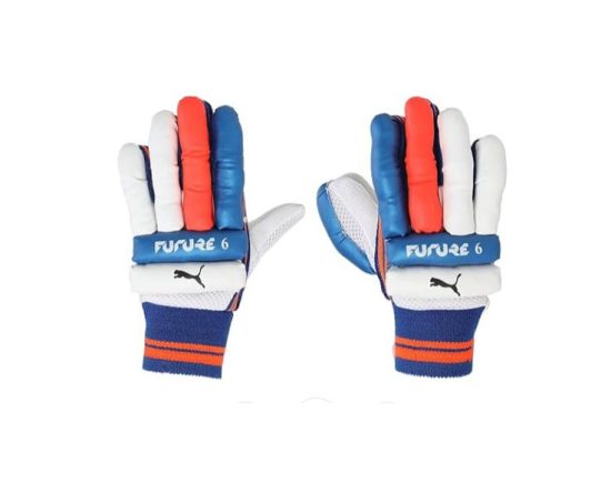 04189501-Puma Future 6 Cricket Batting Gloves