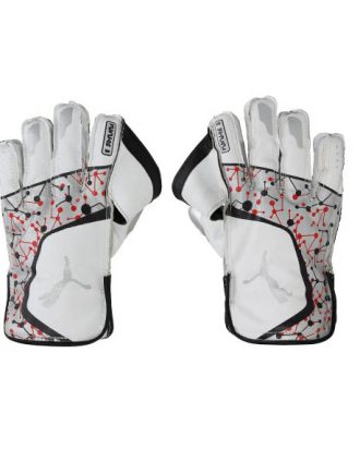 041904 03-Puma Future 3 Cricket Wicket Keeping Gloves