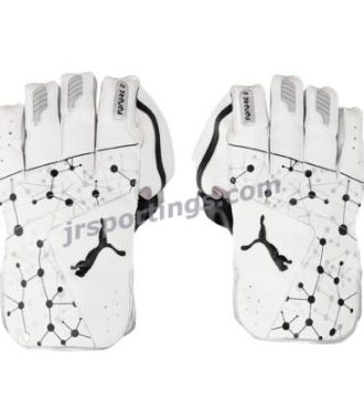 04171601-Puma Future 20.2 Cricket Wicket Keeping Gloves