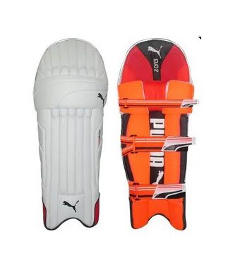 03065726-Puma EVO 2 Cricket Batting Guard