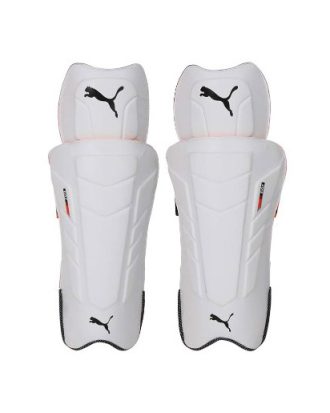 03066401-Puma EVO 2 Wicket Keeping LegGuard