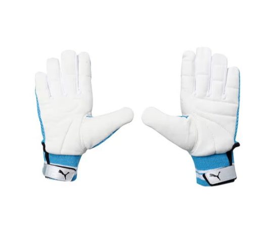 Screenshot 2026-01-11 223343