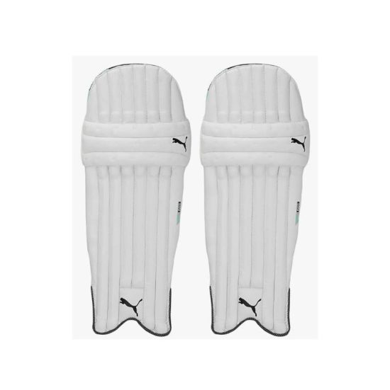03078827-Puma EVO 5 Cricket Batting LegGuard