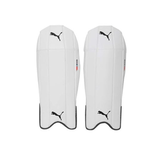 03079227-Puma EVO 3 Wicket Keeping LegGuard