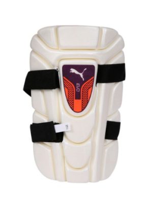 03067225-Puma EVO Moulded Cricket Thigh Guard